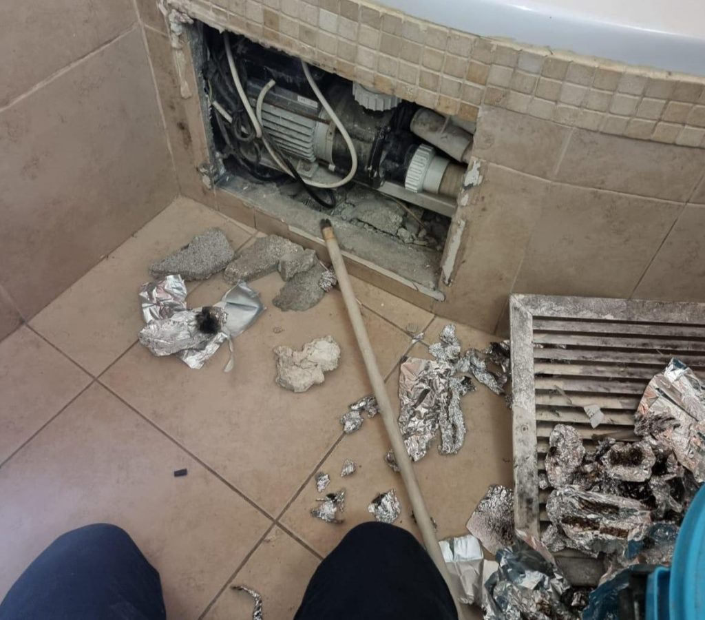 הממצאים שנתפסו